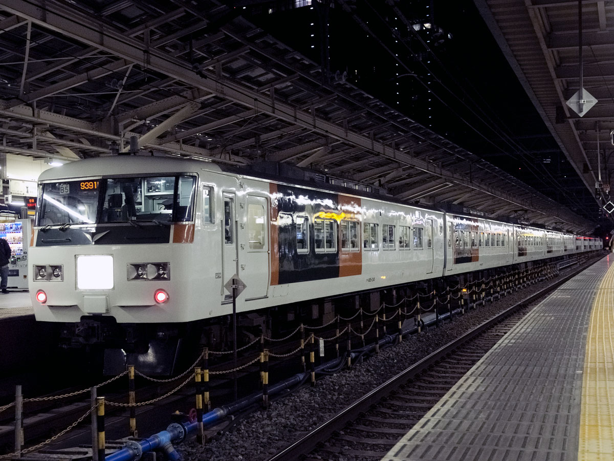 東海道線ホームで発車を待つ夜行臨時快速「ムーンライトながら」