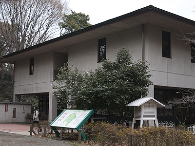 自然教育園(1)
