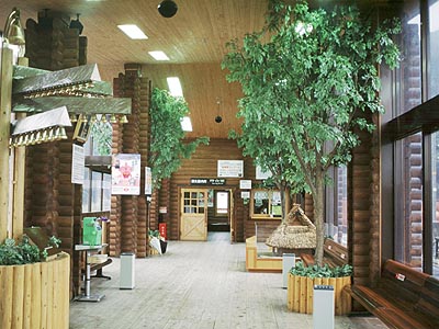トロッコ亀岡駅